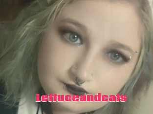 Lettuceandcats