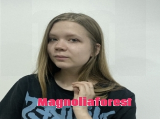 Magnoliaforest