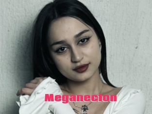 Meganecton