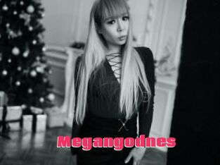 Megangodnes