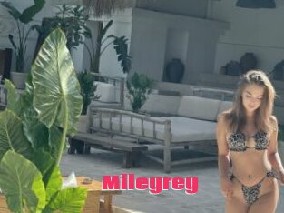 Mileyrey