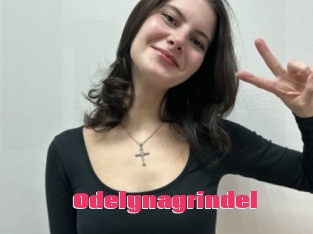 Odelynagrindel
