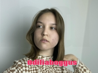 Odiliaboggus