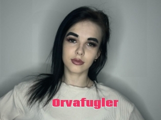 Orvafugler