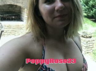 PoppyRose23