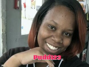 Pudd123