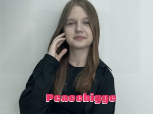 Peacebigge