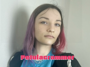 Petulacrammer