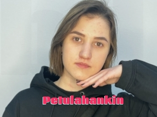 Petulahankin