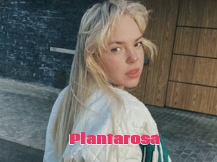 Plantarosa