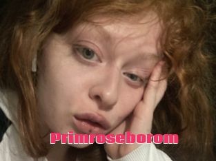 Primroseborom