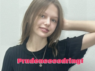 Prudencecodringt