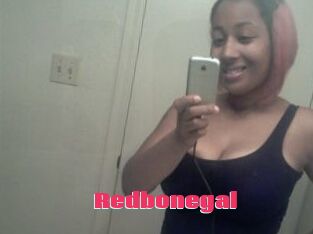 Redbonegal