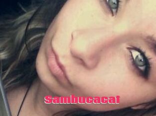 Sambucacat
