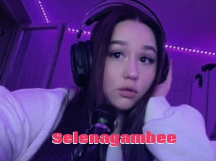 Selenagambee