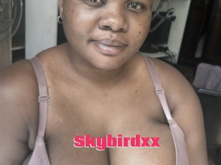 Skybirdxx