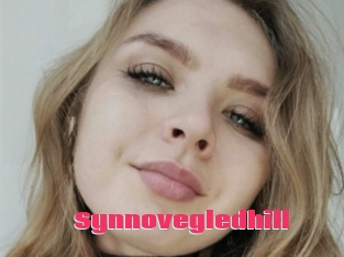 Synnovegledhill