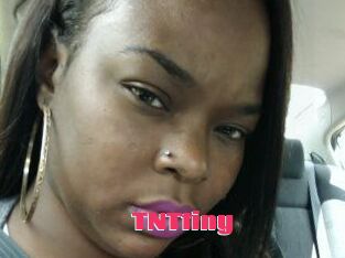 T_N_Ttiny