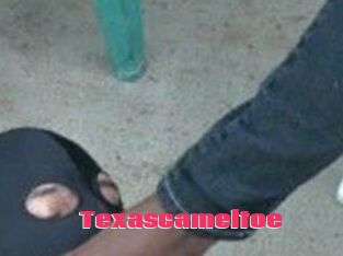 Texascameltoe