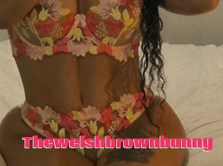 Thewelshbrownbunny