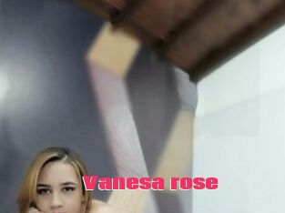 Vanesa_rose