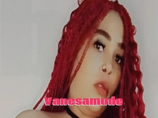 Vanesamude
