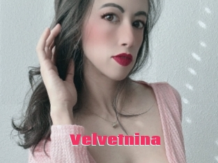 Velvetnina