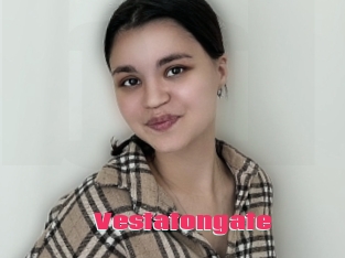 Vestatongate