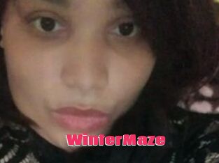 Winter_Maze