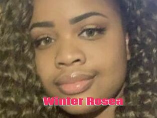 Winter_Rosea