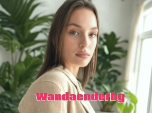 Wandaenderby