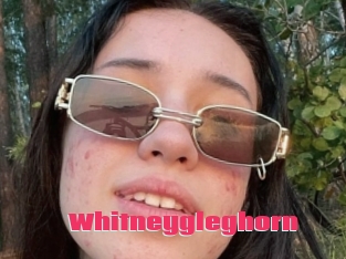 Whitneygleghorn