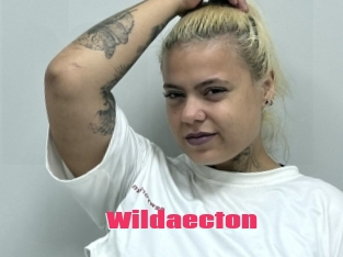 Wildaecton