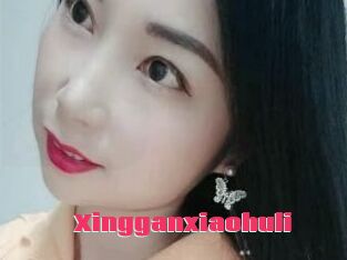 Xingganxiaohuli