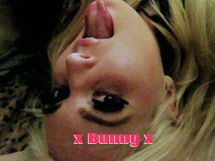 _x_Bunny_x_