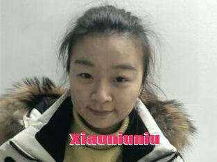 Xiaoniuniu