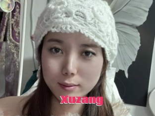 Xuzang