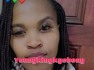 Youngkingkyebony